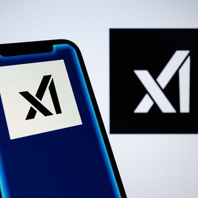 Musks KI-Firma xAI
