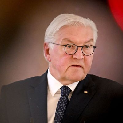 Bundespräsident Frank-Walter Steinmeier spricht zu Medienvertretern.