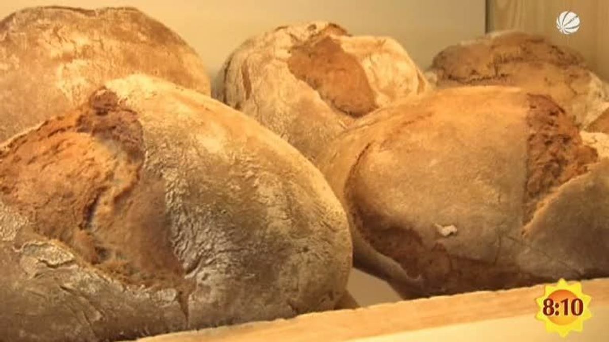 Gesundes Brot backen: Diese 5 Rezepte schmecken wie vom Lieblings ...