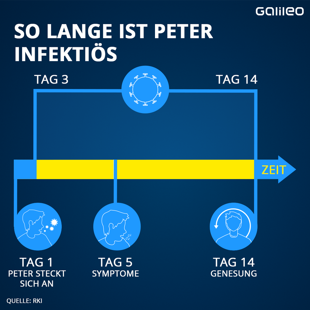 Bereits bevor Symptome auftauchen, ist eine Person ansteckend. Das RKI geht davon aus, dass man schon 2 Tage, bevor man sich kränklich fühlt, andere anstecken kann. In den ersten Tagen nach der Infektion sind die Corona-Viren bei den Tests teilweise noch nicht nachweisbar. 