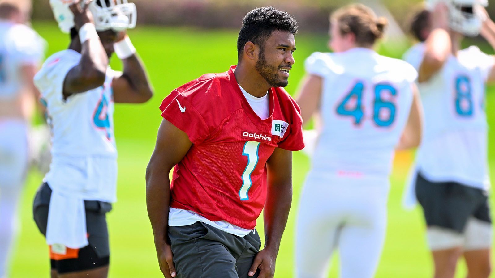 
                <strong>Miami Dolphins mit 12 Siegen und 10 Niederlagen</strong><br>
                2022: 2-12021: 2-12019: 3-12018: 1-32017: 2-22016: 2-2
              