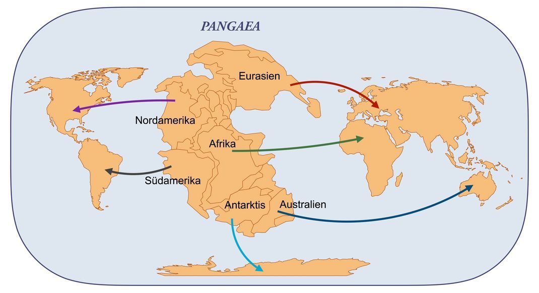 Die Welt hat sich in den vergangenen 250 Millionen Jahren stark verändert - und tut es immer noch.