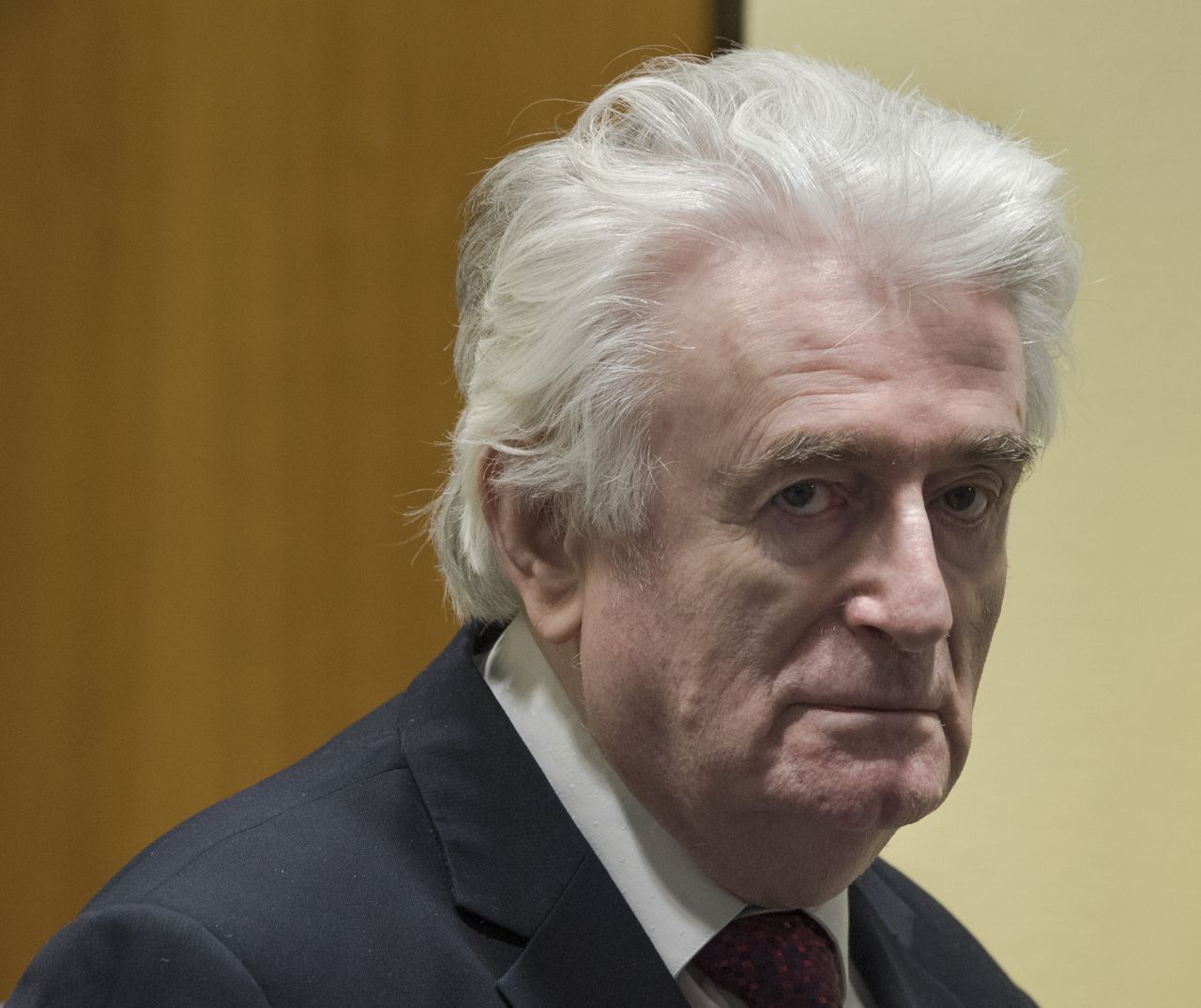 Der ehemalige Präsident von Bosnien und Herzegowina, Radovan Karadzic, wurde vom Internationalen Strafgerichtshof für das ehemalige Jugoslawien wegen Kriegsverbrechen, Völkermord und Verbrechen gegen die Menschlichkeit zu lebenslanger Haft verurteilt.