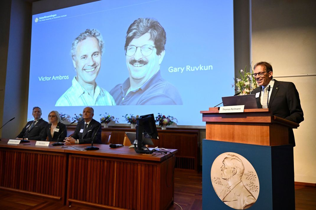 Thomas Perlmann (rechts), Sekretär der Nobelversammlung des Karolinska-Instituts, die Gewinner des Nobelpreises für Medizin 2024.