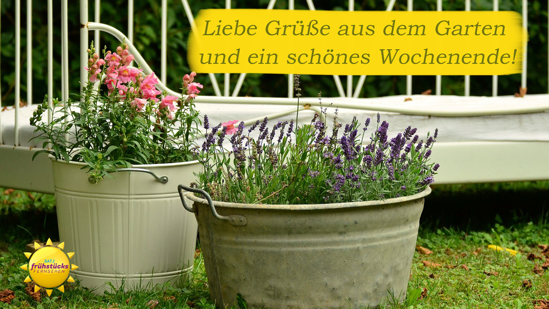 Blumige Grüße aus dem Garten: dein WhatsApp-Gruß für das nächste Wochenende.