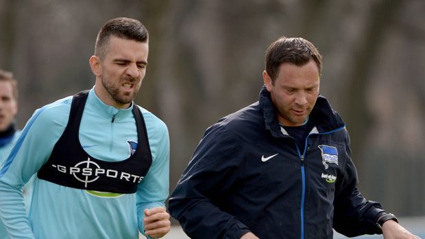 
                <strong>Verlierer: Hertha BSC</strong><br>
                Es hatte sich bereits zum Ende der vergangenen Saison angedeutet. Da verspielten die Berliner zunächst die mögliche Champions-League-Quali, indem man die letzten sieben Spiele ohne Sieg blieb. Im Sommer verdaddelte die Hertha dann das Ticket zur Europa League. Die Stimmung ist nach dem Fast-Aus im Pokal auf dem Tiefpunkt. Trainer Pal Dardai entmachtete Kapitän Fabian Lustenberger und gab Vedad Ibisevic die Binde. Um ein Zeichen zu setzen. Dass er das zu solch einem frühen Zeitpunkt machen musste, spricht für sich.
              