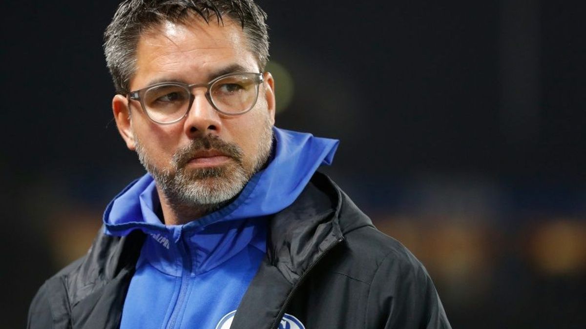Wagner ist seit dieser Saison Cheftrainer von Schalke 04