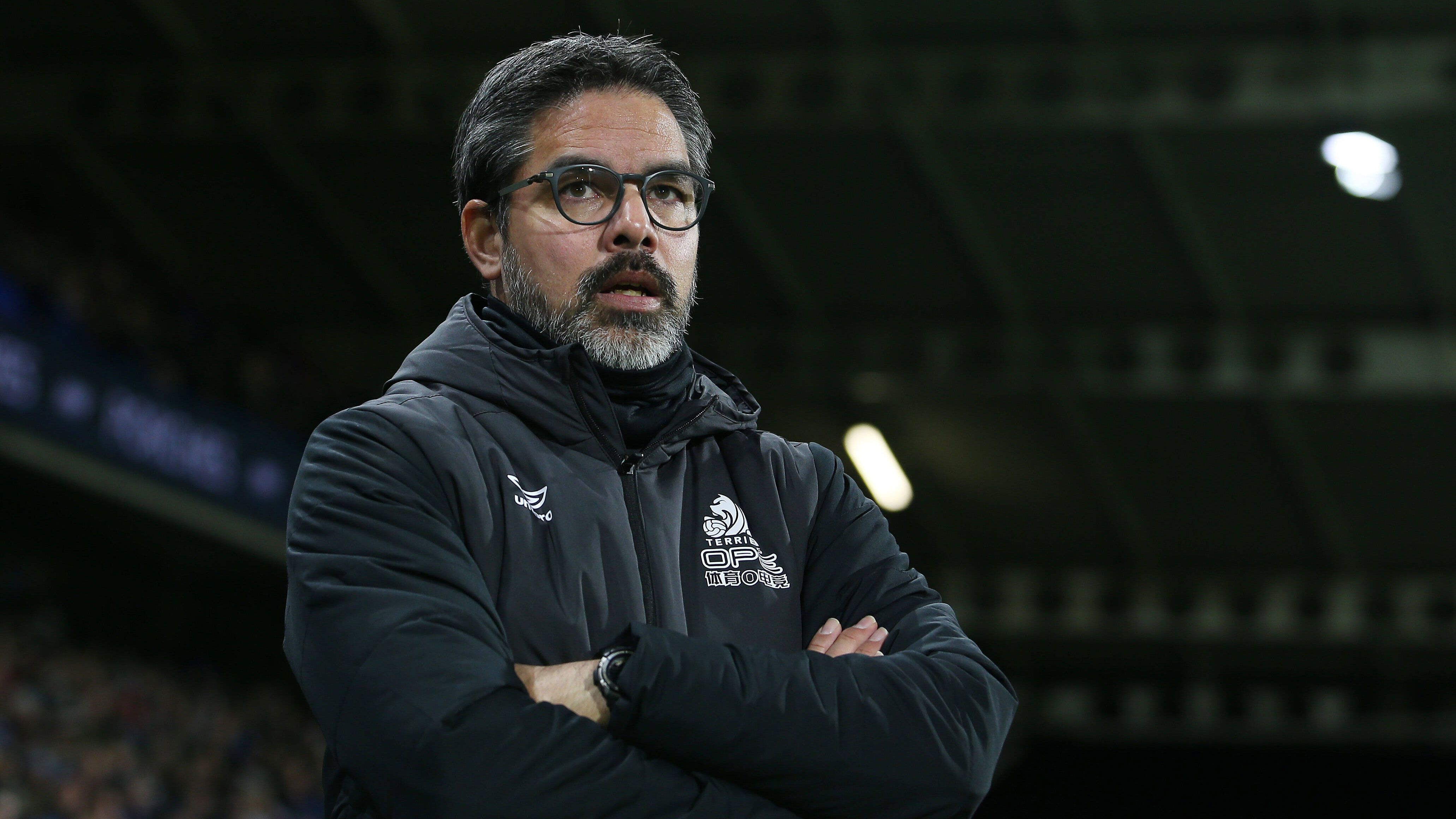 
                <strong>David Wagner</strong><br>
                &#x2022; Verein: Huddersfield Town<br>&#x2022; Zeitraum: 9. November 2015 - 14. Januar 2019<br>&#x2022; Größte Erfolge: Sensationsaufstieg 2017, Klassenerhalt 2018<br>&#x2022; Punkteschnitt: 0,8 Punkte pro Spiel<br>
              