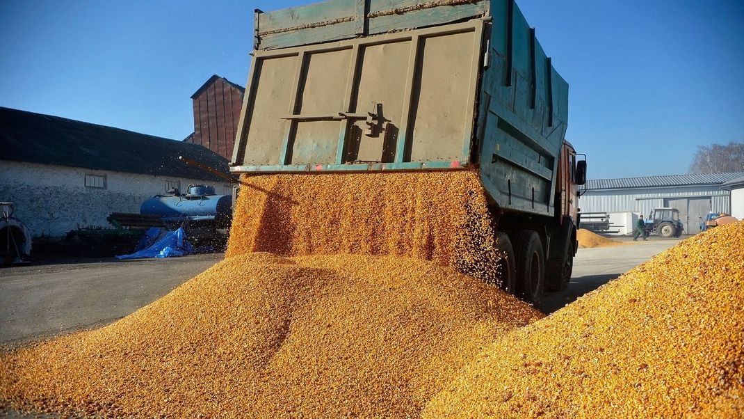 Agrarexporte der Ukraine haben für Unmut bei Bauern in der EU gesorgt.