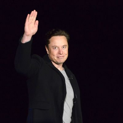 Twitter-Chef Elon Musk