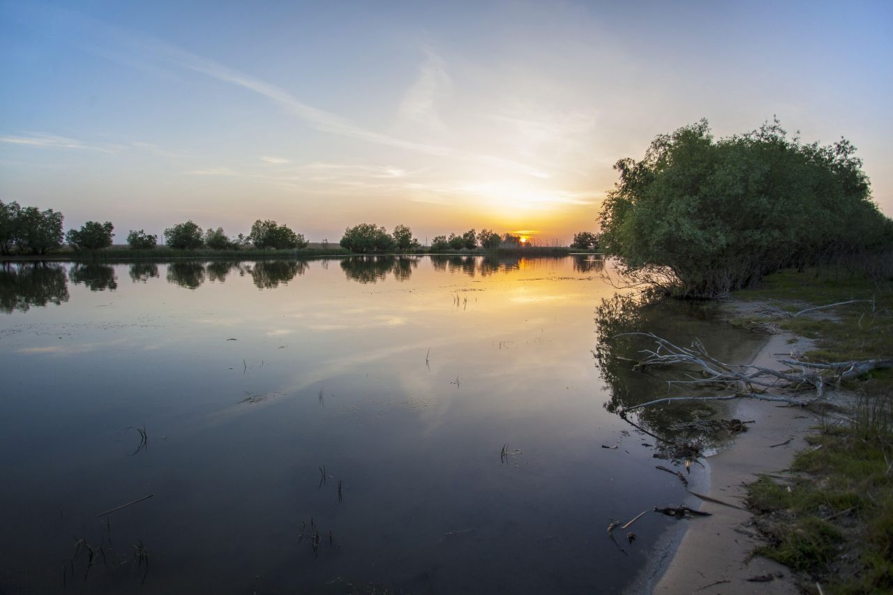 Das Donaudelta ist eine dreiecksförmige Mündung von der Donau ins Schwarze Meer. Es gilt als das zweitgrößte Delta Europas. Seit 1993 steht es auf der Liste der UNESCO-Weltnaturerbe.
