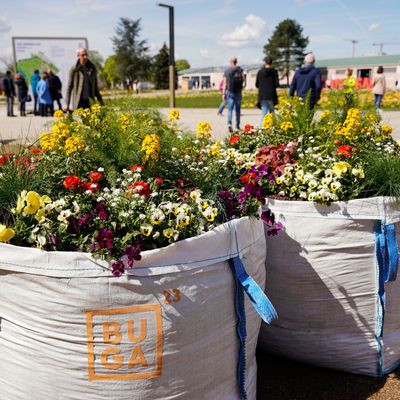 Bundesgarten Show in Mannheim