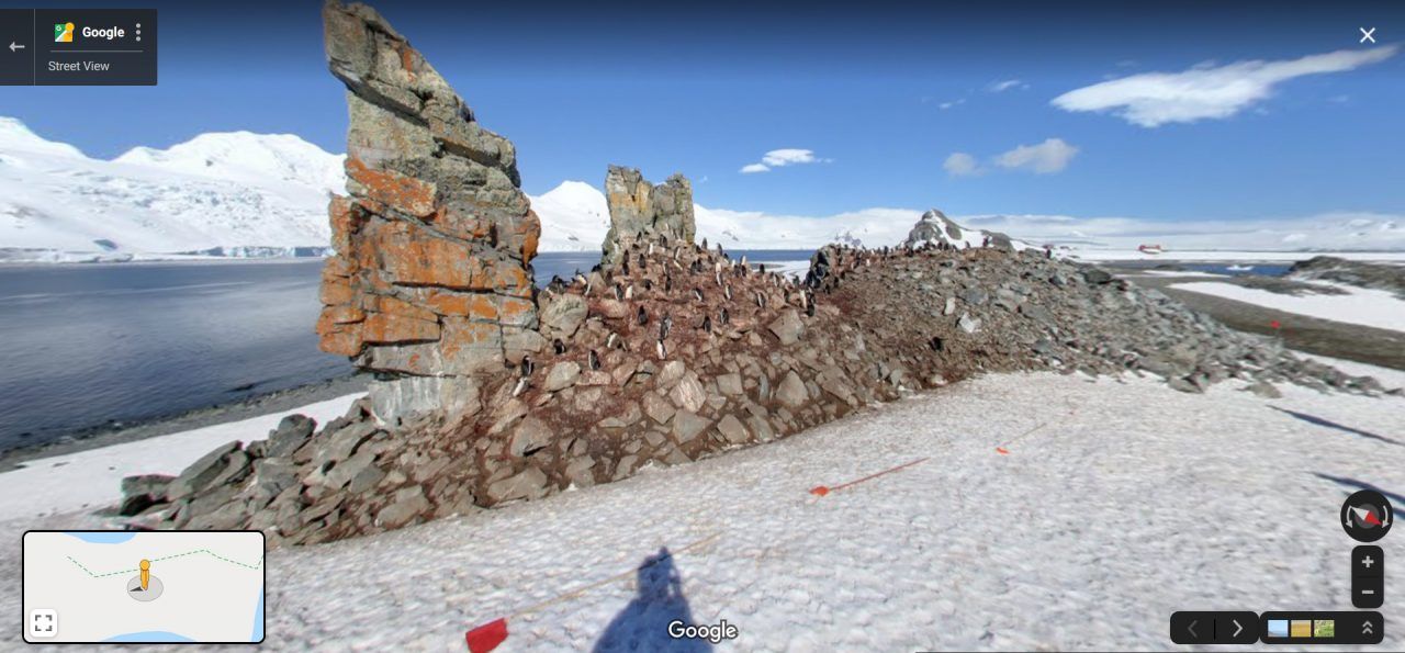 Eine Pinguin-Familie in der Antarktis beim Sonnen.