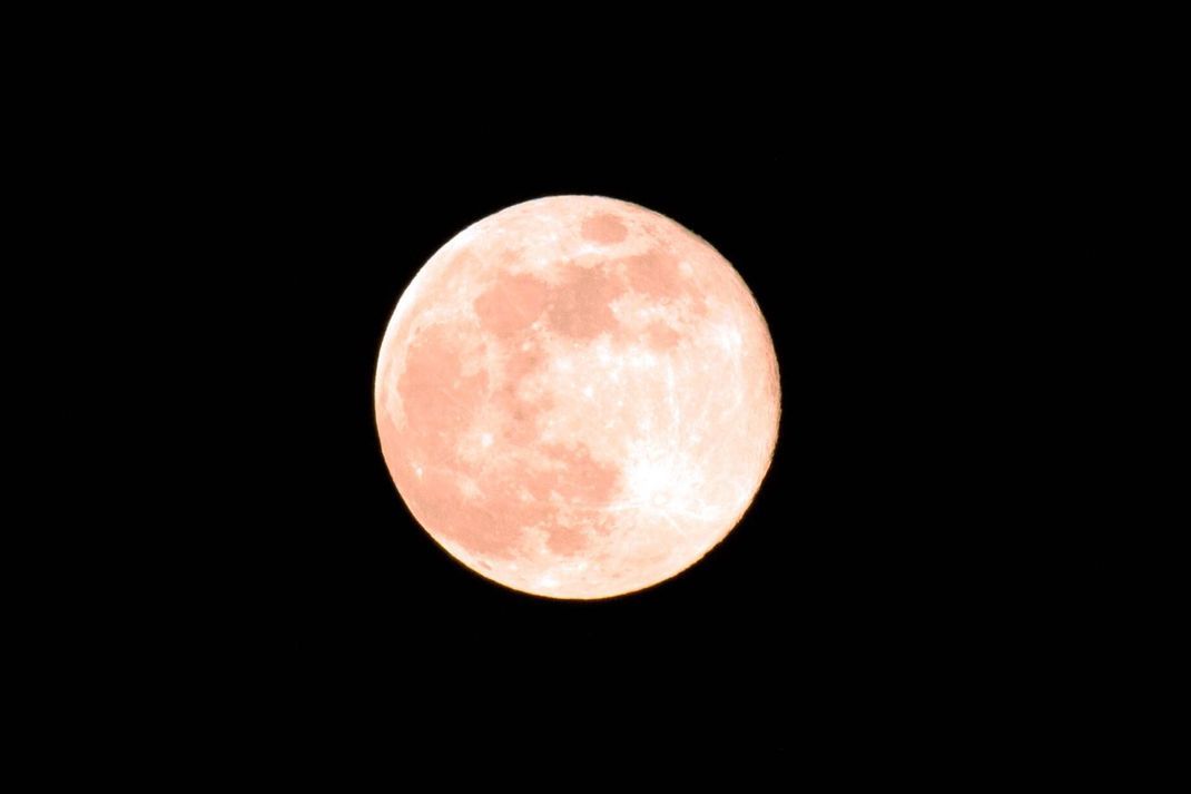 Pink Moon Mondaufgang des kugelrunden Vollmonds am Karfreitag vor Ostern in den Allgäuer Bergen und zwar hinter dem Nebelhorn. 