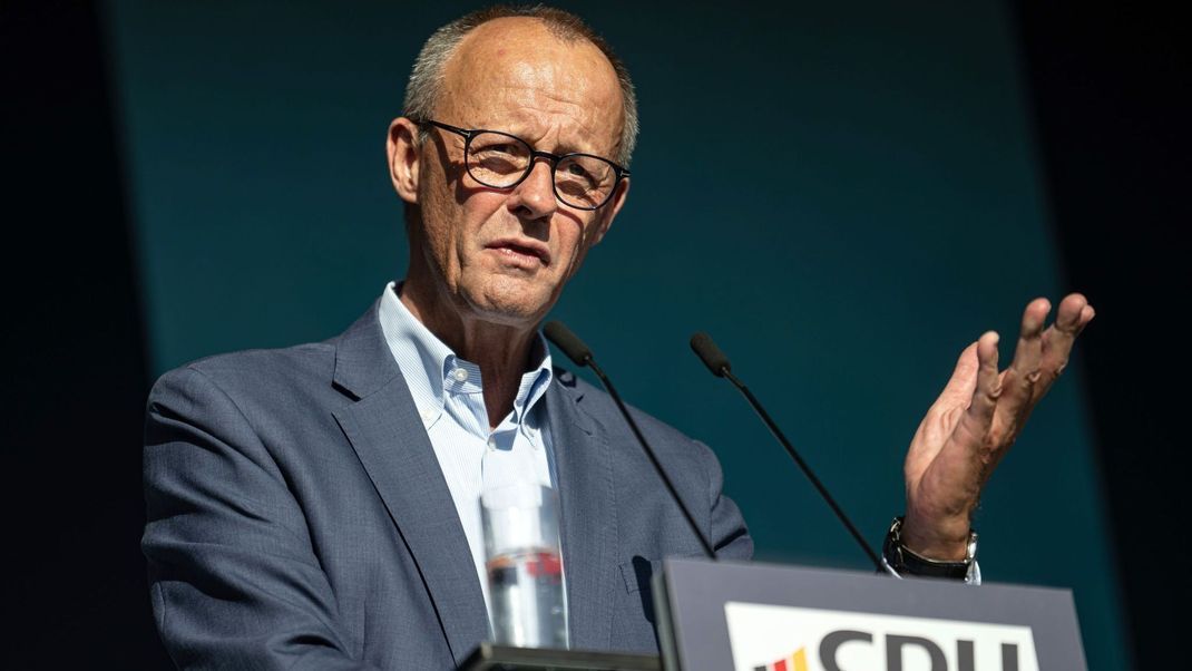 CDU-Politiker, Friedrich Merz