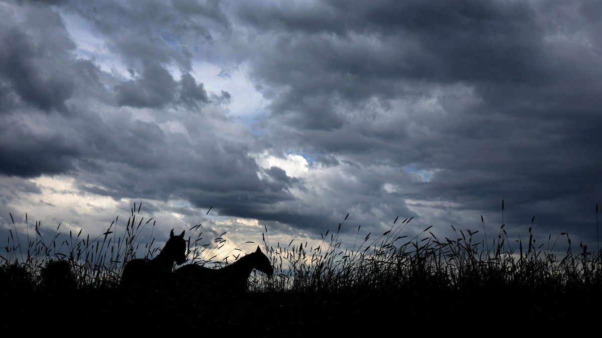 Kaufbeuren: Pferde stehen unter dichten Regenwolken auf einer Wiese. 