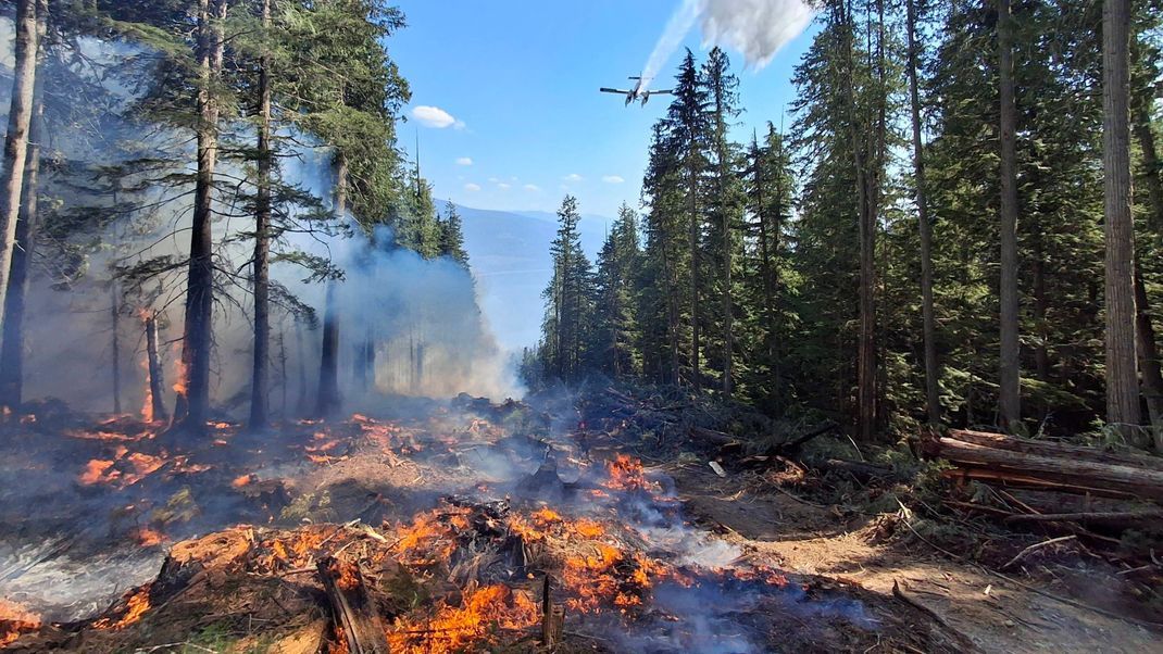 Die Waldbrände in Kanada sind meist nur mit Löschflugzeugen zu bändigen.