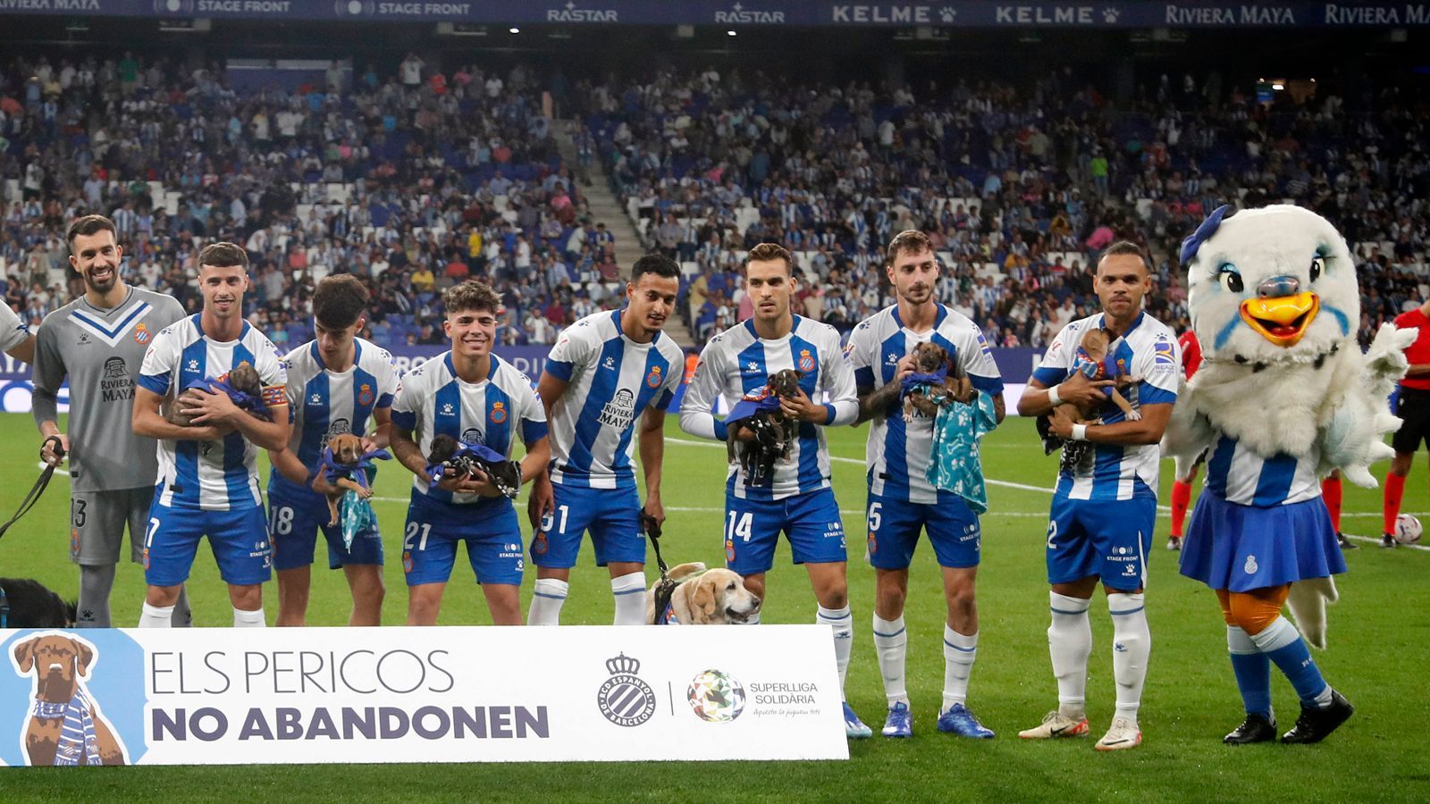 <strong>Espanyol-Stars laufen mit ausgesetzten Hunden ein</strong><br>Vor dem 2:0-Sieg von Espanyol Barcelona gegen Real Valladolid in der zweiten spanischen Liga setzten die Spieler der Gastgeber ein Zeichen gegen das Aussetzen von Hunden. Sie liefen daher mit Vierbeinern auf, die von ihren Besitzern ausgesetzt wurden. Alle Hunde, die mit den Spielern aufs Feld liefen, können nun adoptiert werden.&nbsp;