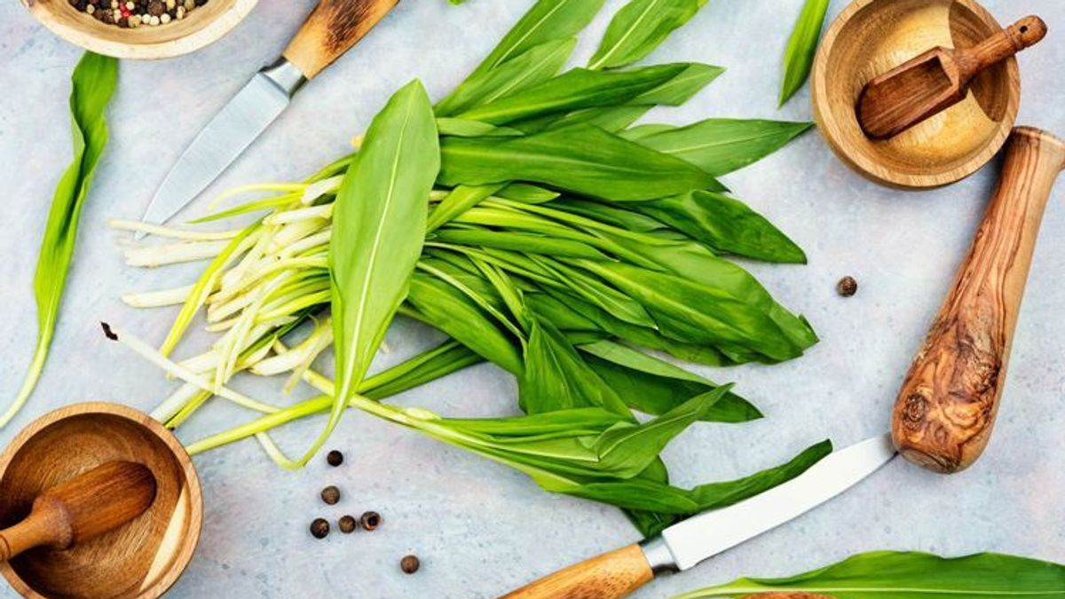 Bärlauch – wie gesund ist er wirklich