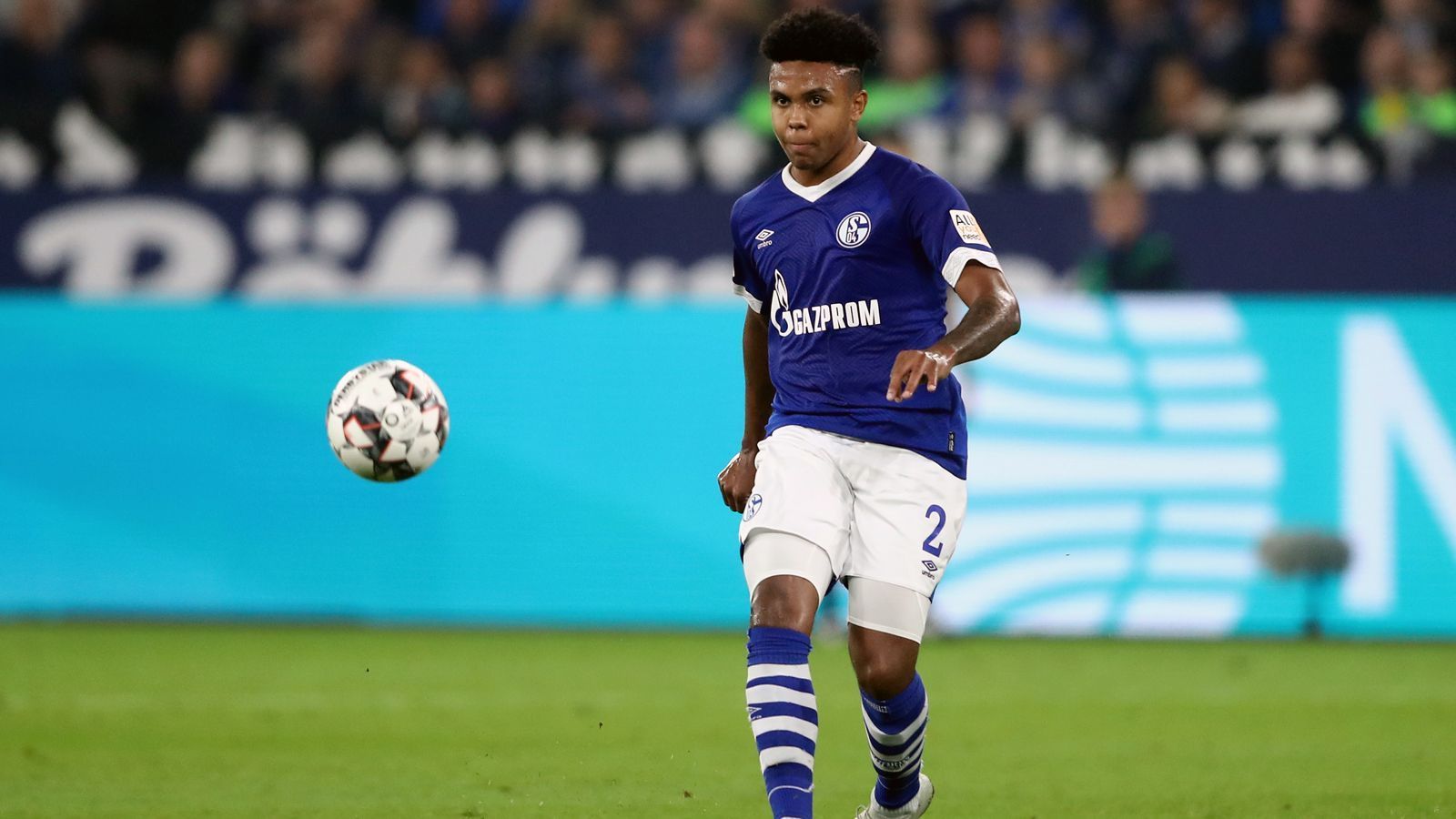 
                <strong>Weston McKennie (FC Schalke 04)</strong><br>
                Wie Adams und Pulisic, so wagte auch Schalkes Weston McKennie früh den Schritt von den USA in die Bundesliga. Im Sommer 2016 kam der gebürtige Texaner aus dem Nachwuchs von MLS-Klub FC Dallas zu den Knappen und gab im Mai 2017 sein Bundesliga-Debüt. Seit Domenico Tedesco das Traineramt auf Schalke übernahm, gehört der 20 Jahre alte Mittelfeldspieler nicht nur fest zum Profikader, sondern entwickelte sich im zurückliegenden Jahr zum Leistungsträger beim Champions-League-Teilnehmer. Sogar in der Königsklasse steht der Jungstar mit Vertrag bis 2022 auf Anhieb seinen Mann, steuerte bei vier Einsätzen ein Tor und eine Vorlage bei. Kein Wunder, dass McKennie nach seiner rasanten Entwicklung auch im US-Nationalteam schon zu den wichtigen Akteuren zählt.
              