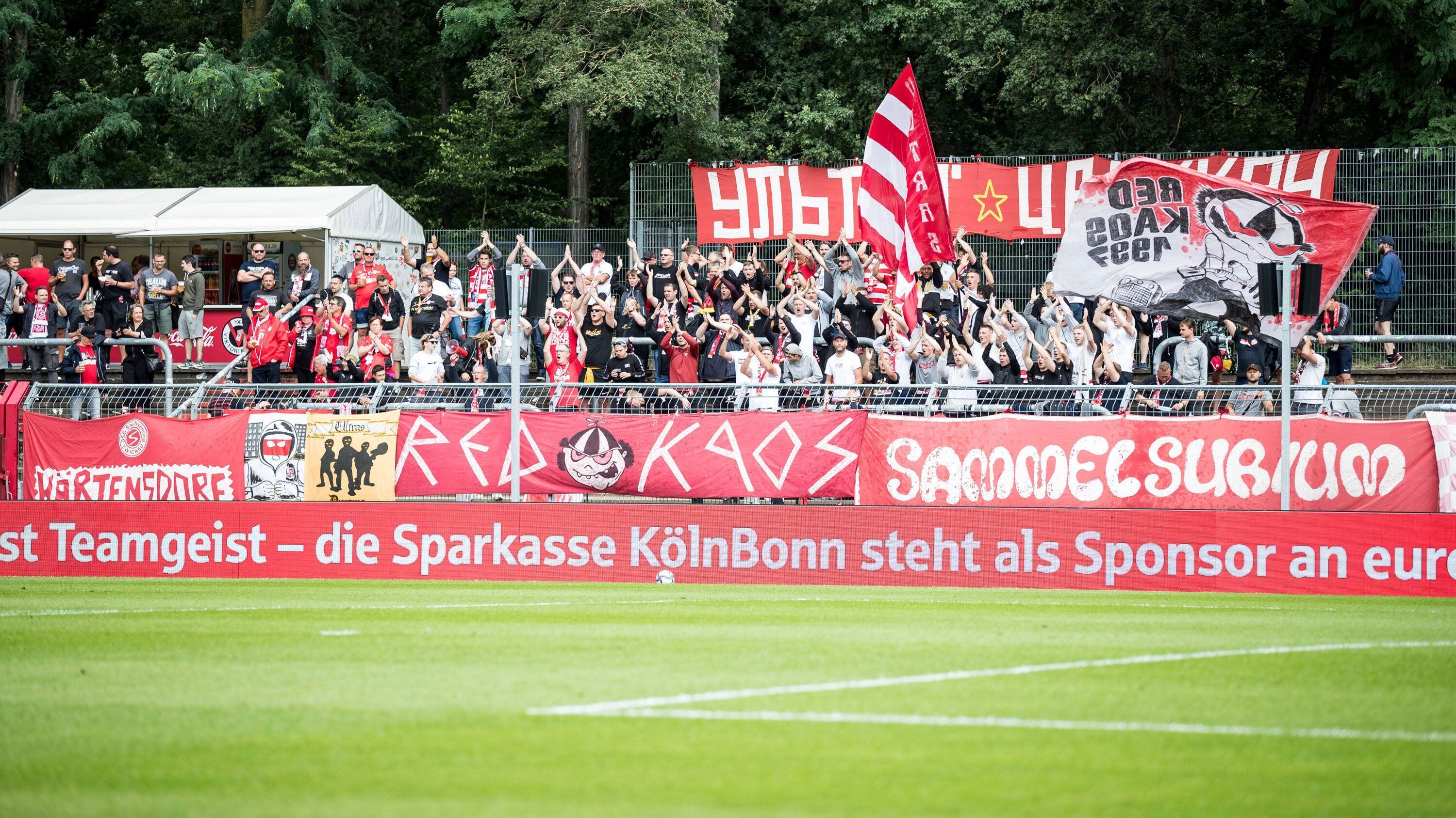
                <strong>Viktoria Köln - TSG 1899 Hoffenheim</strong><br>
                Anstoß: Montag, 9. August, 18:30 UhrStadion: Sportpark HöhenbergZuschauer erlaubt: 5.000
              