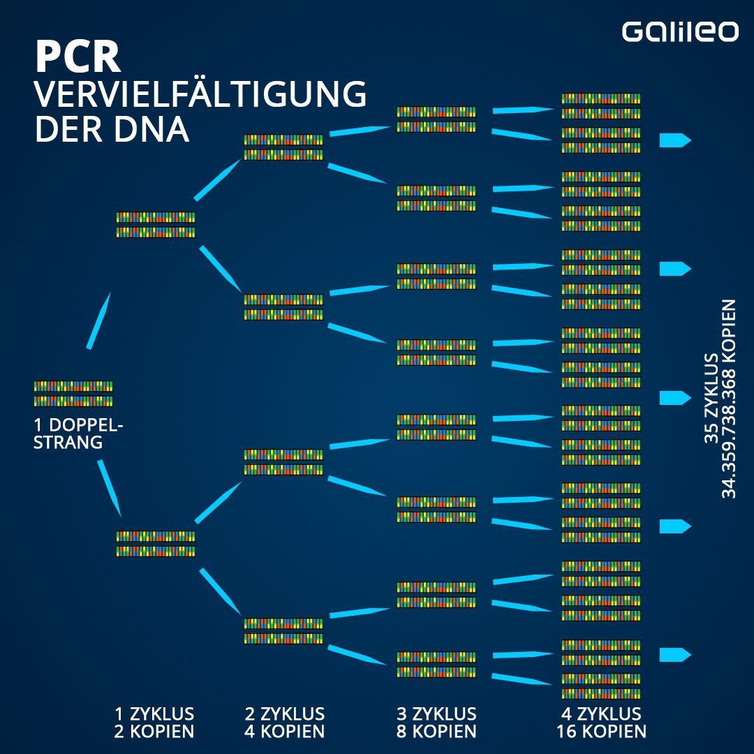 So funktioniert ein PCR-Test