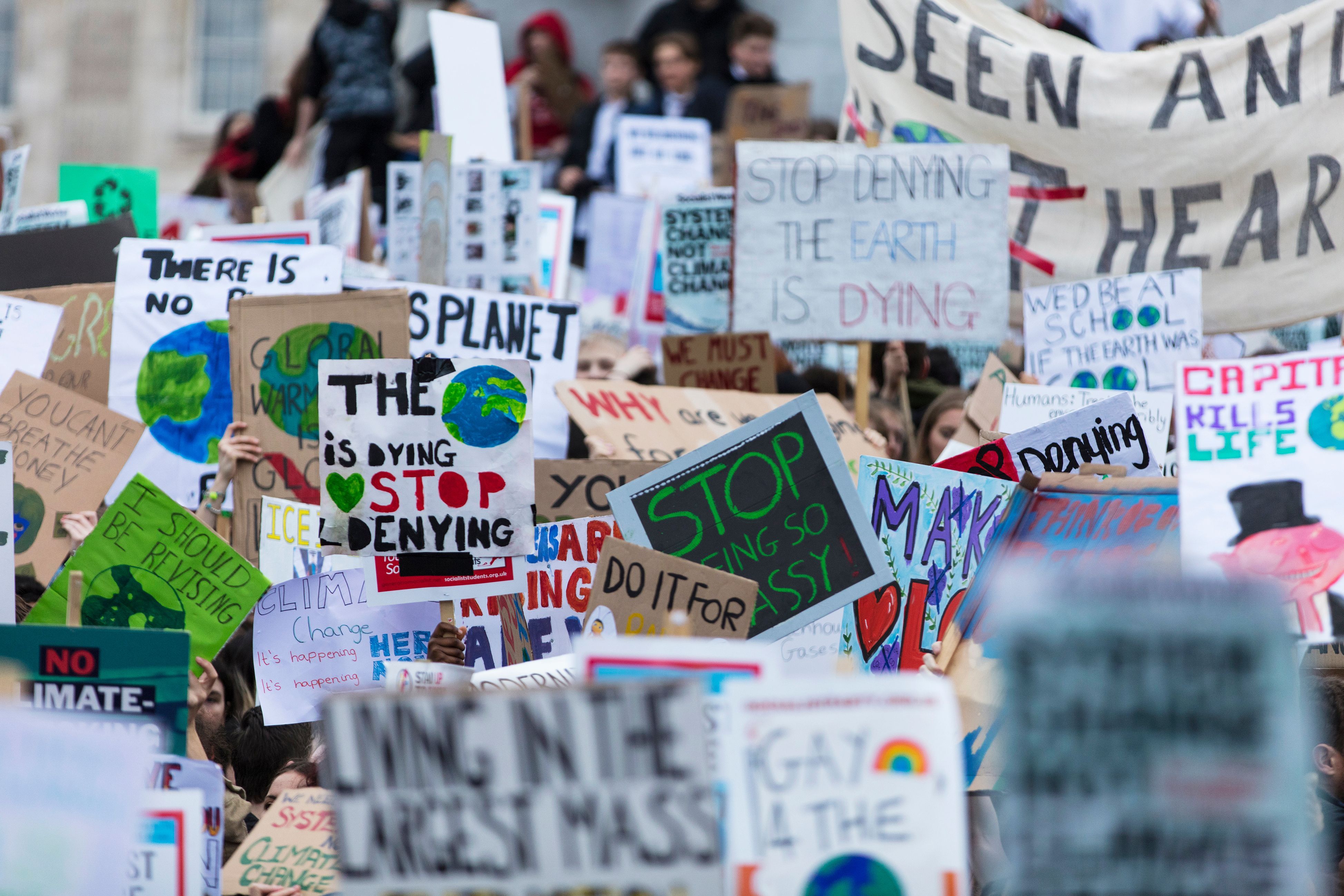 Ausgehend von Thunbergs Engagement wurde&nbsp; "Fridays for Future" im Laufe des Jahres immer populärer, und spätestens im Frühjahr 2019 zur globalen Klimabewegung.