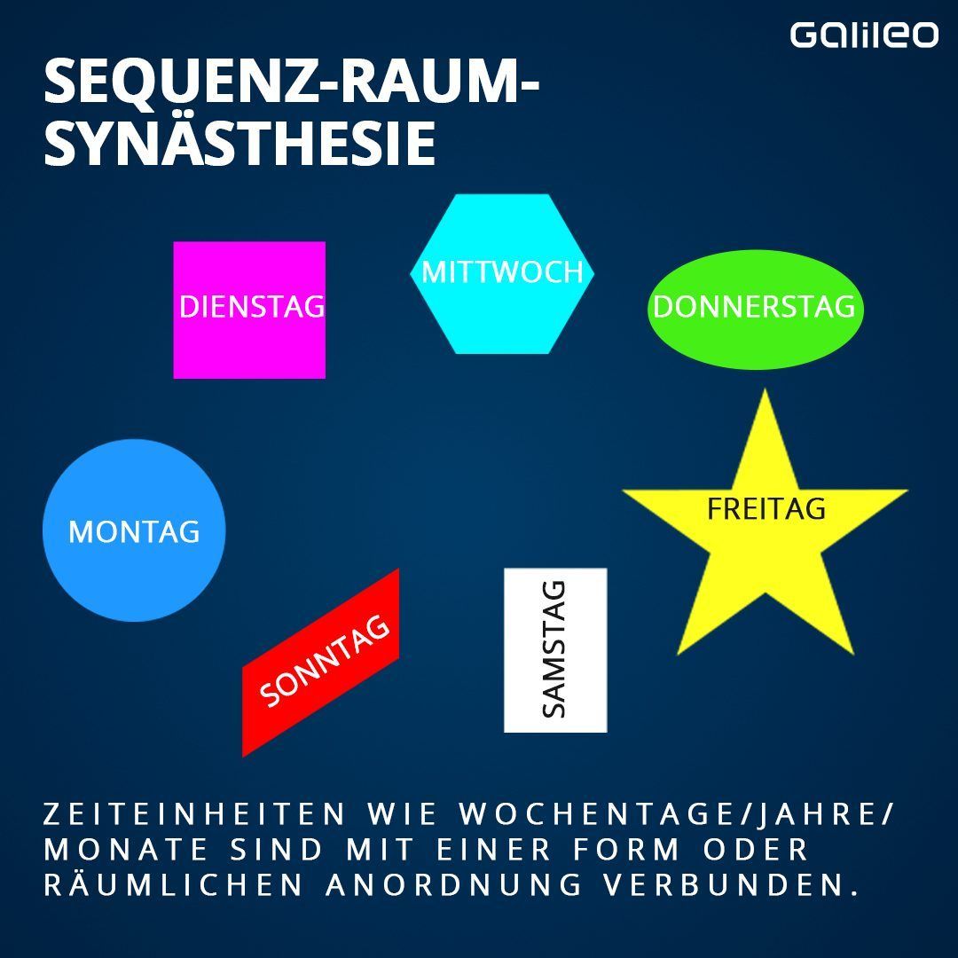 Die Sequenz-Raum-Synästhesie koppelt Wochentage, Monate oder Jahre mit einer Form und Position