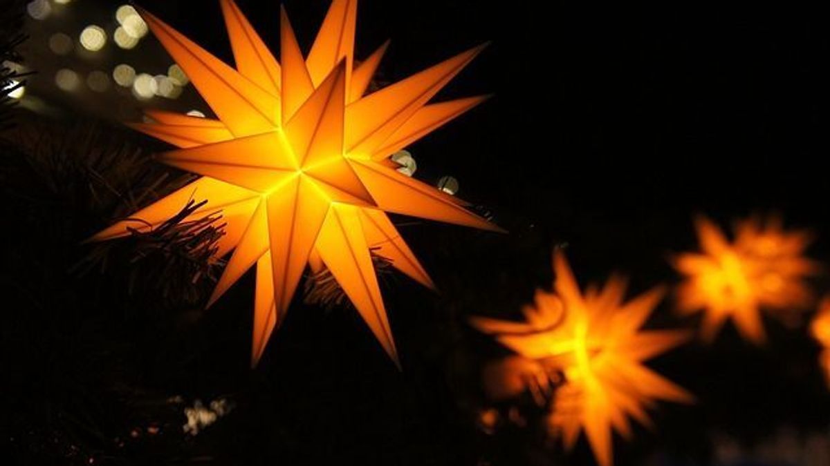 weihnachtsstern_V