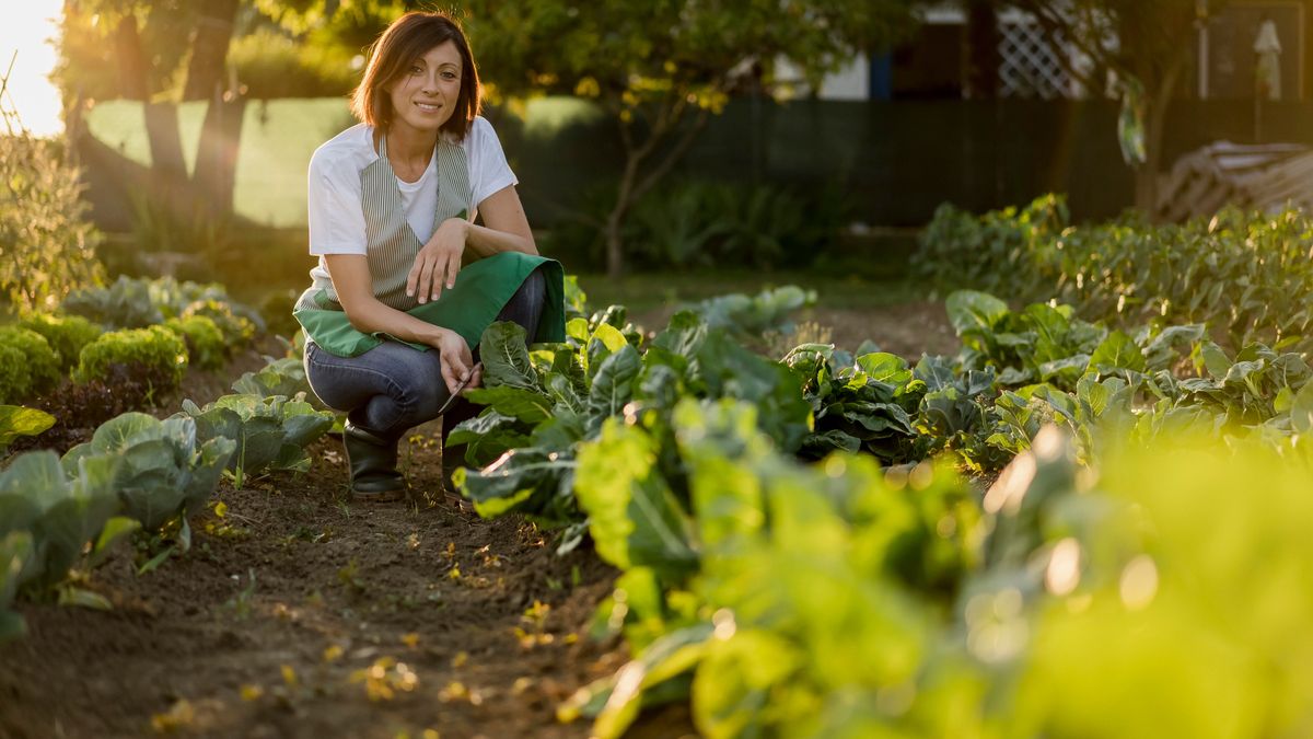 7 Schritte zum perfekten Beet für Gemüse oder Pflanzne 