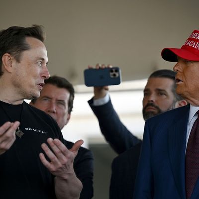 Elon Musk und Donald Trump