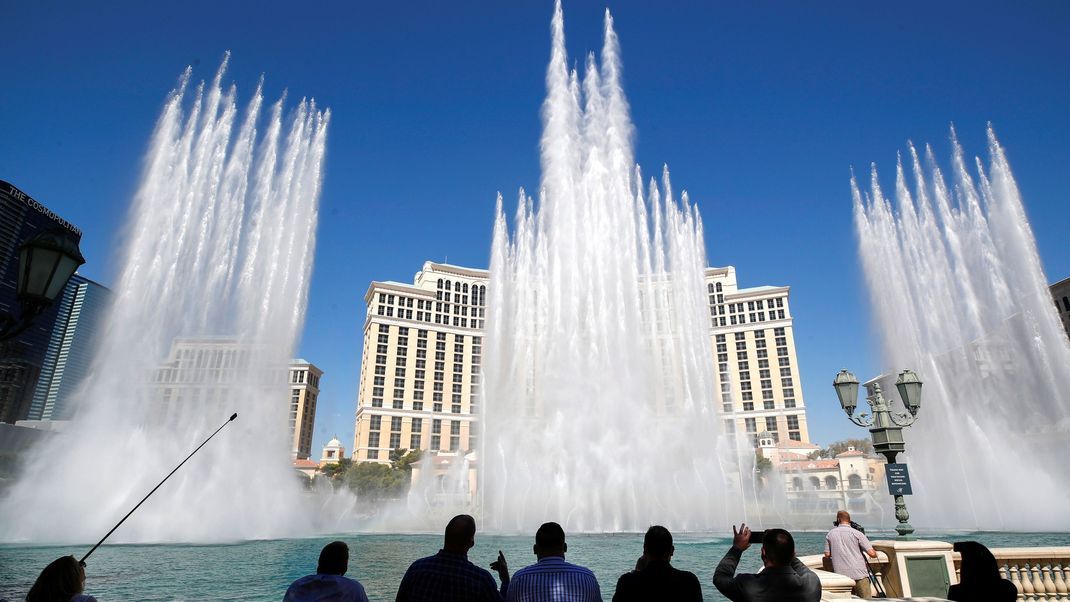 Eigentlich sprühen vor dem Bellagio-Hotel in Las Vegas riesige Fontänen Wasser. Diese mussten für den kleinen gefiederten Freund allerdings pausieren.