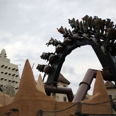 Bei Wartungsarbeiten an einer Achterbahn im Freizeitpark "Phantasialand" ist ein Mitarbeiter tödlich verunglückt. 