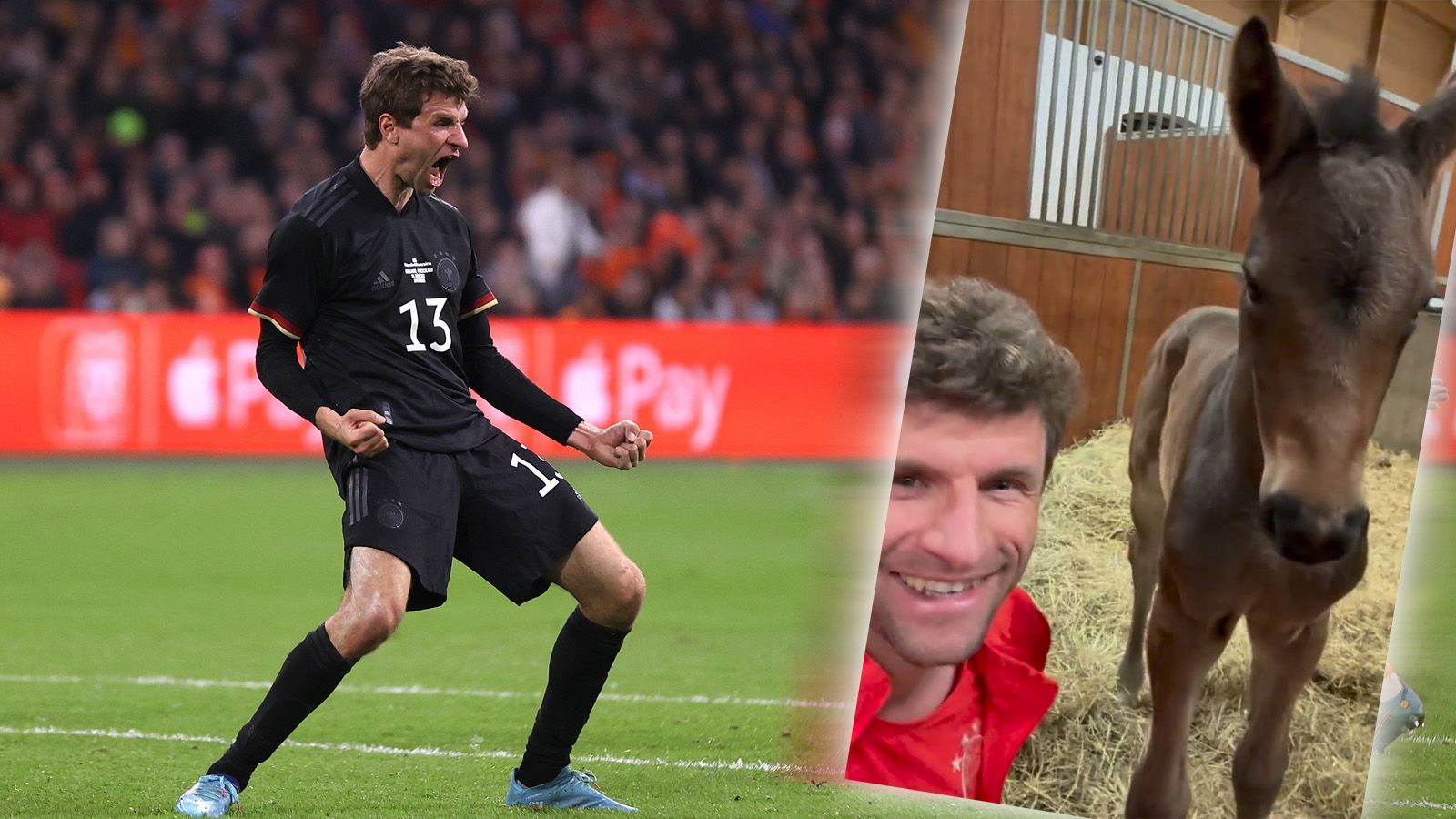 <strong>Thomas Müller</strong><br>... im Pferdestall seiner Frau