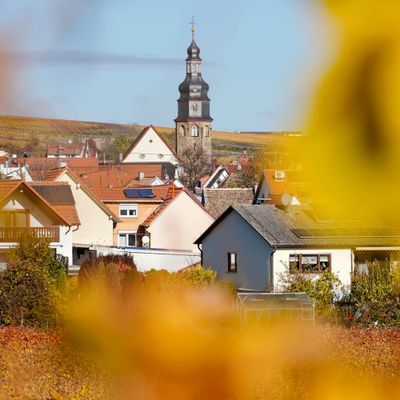 Kallstadt im Landkreis Bad Dürkheim