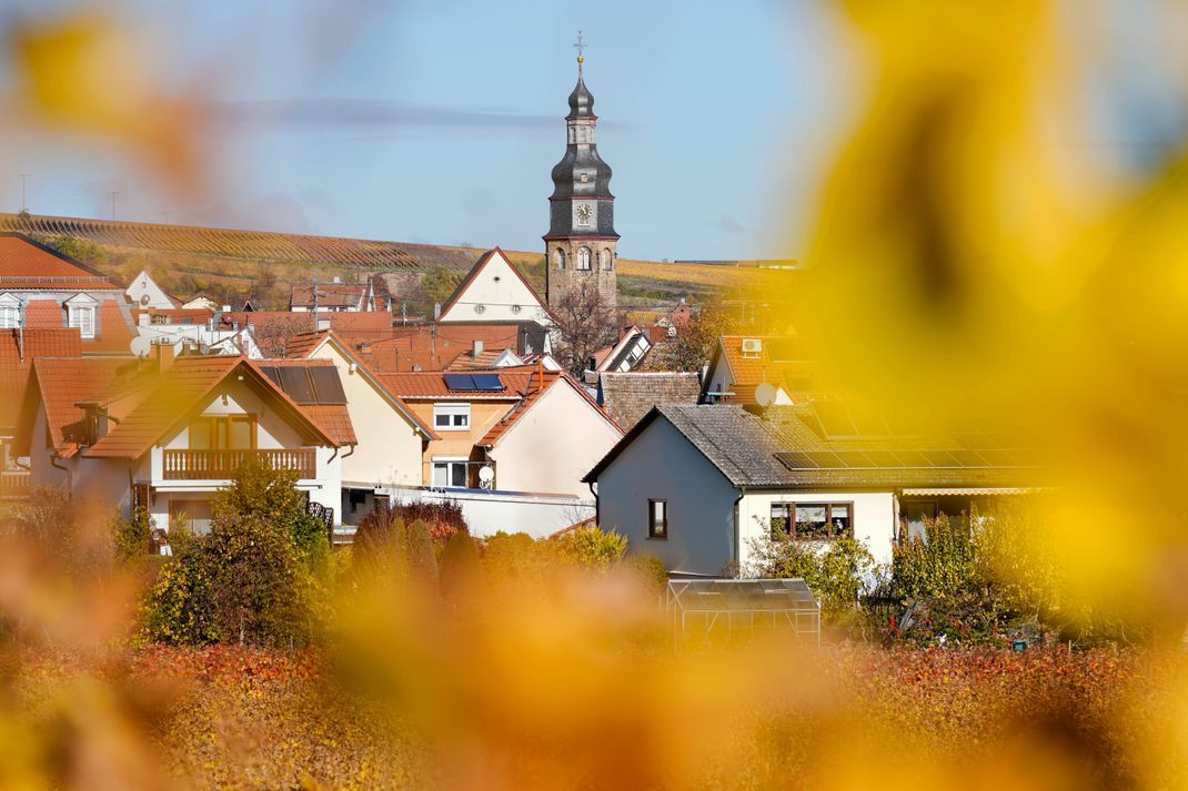Kallstadt liegt im Landkreis Bad Dürkheim in Rheinland-Pfalz.