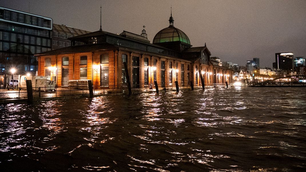 Das Wasser der Elbe an der Fischauktionshalle in Hamburg während des Hochwassers.