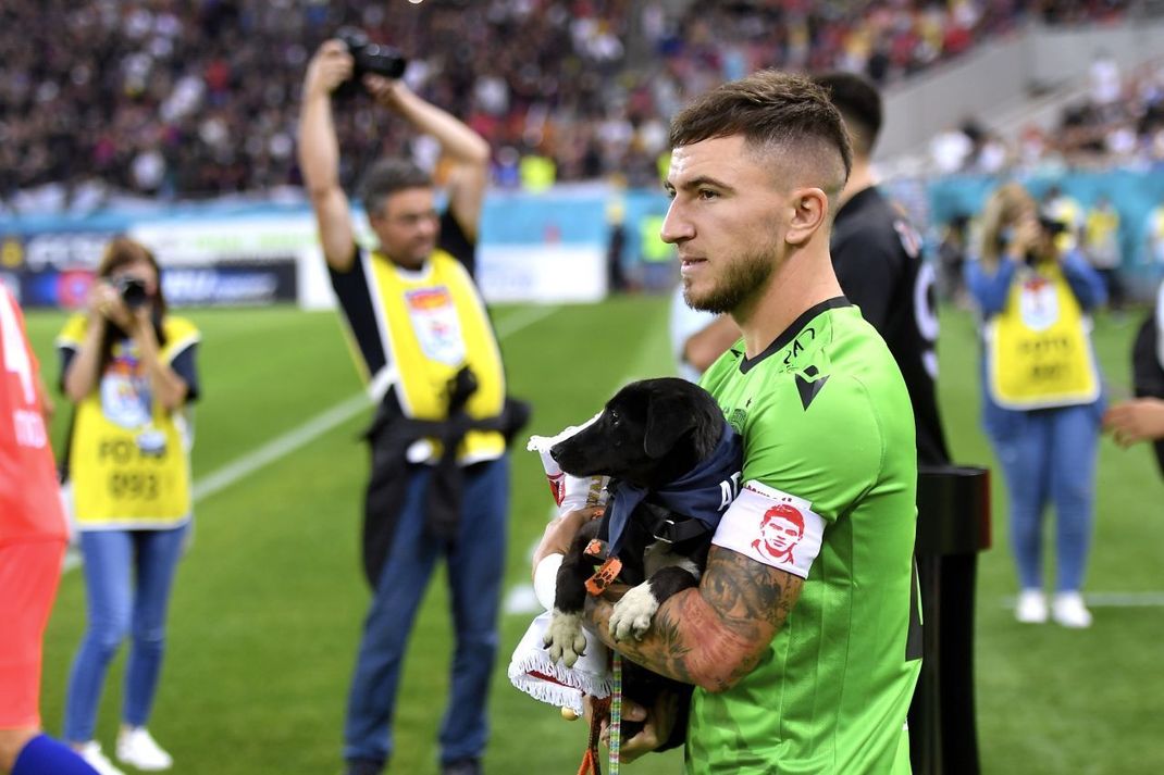 Ein Spieler hält einen Hund, bevor er das Spielfeld betritt.