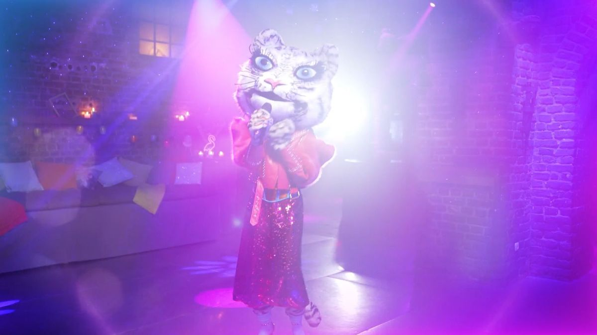 Der Tiger 4. Online-Auftritt