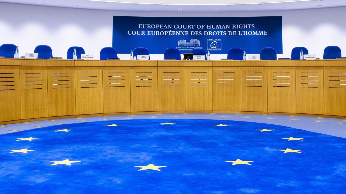 Europäischer Gerichtshof für Menschenrechte (EGMR)