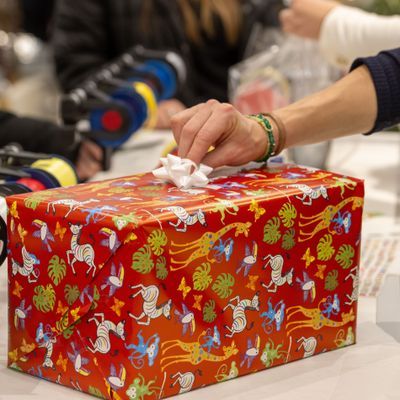 urn:newsml:dpa.com:20090101:241208-935-361390
