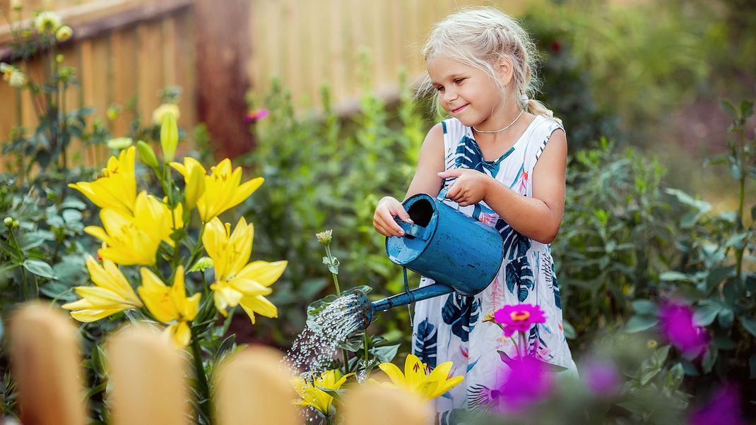 Schönheit in Blüte: Alles über das Pflanzen und die Pflege von Lilien.