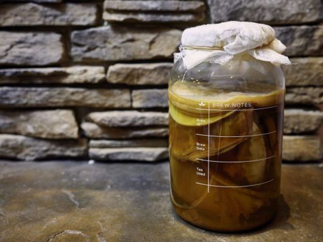 Mit dem SCOBY-Hotel bleiben deine Kombucha-Kulturen erhalten und können immer wieder verwendet werden.