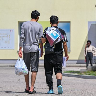 Nach Solingen will die Ampel die Asylpolitik verschärfen.