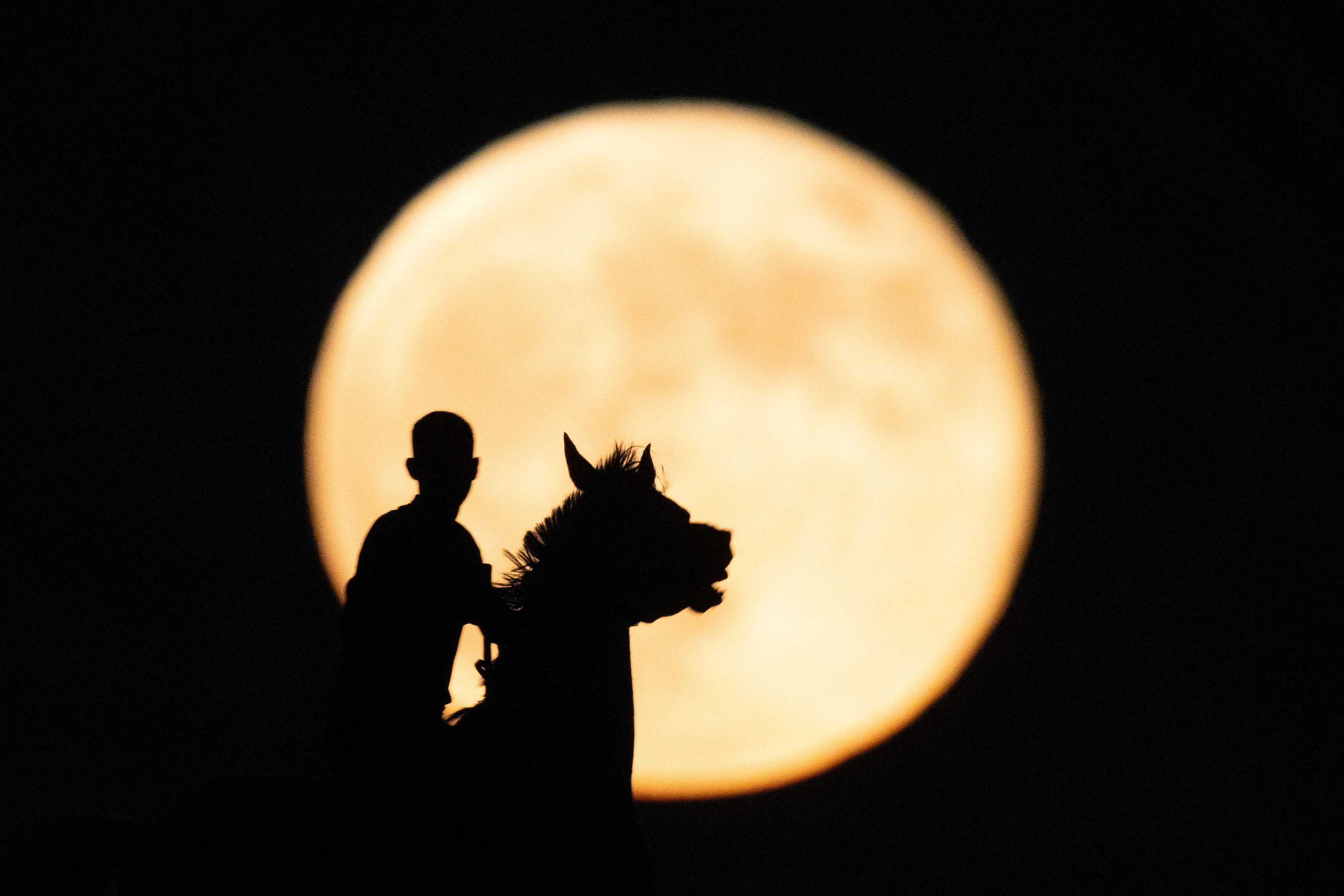 Ein Beduine reitet vor dem Supermond in Rahad, Südisrael.