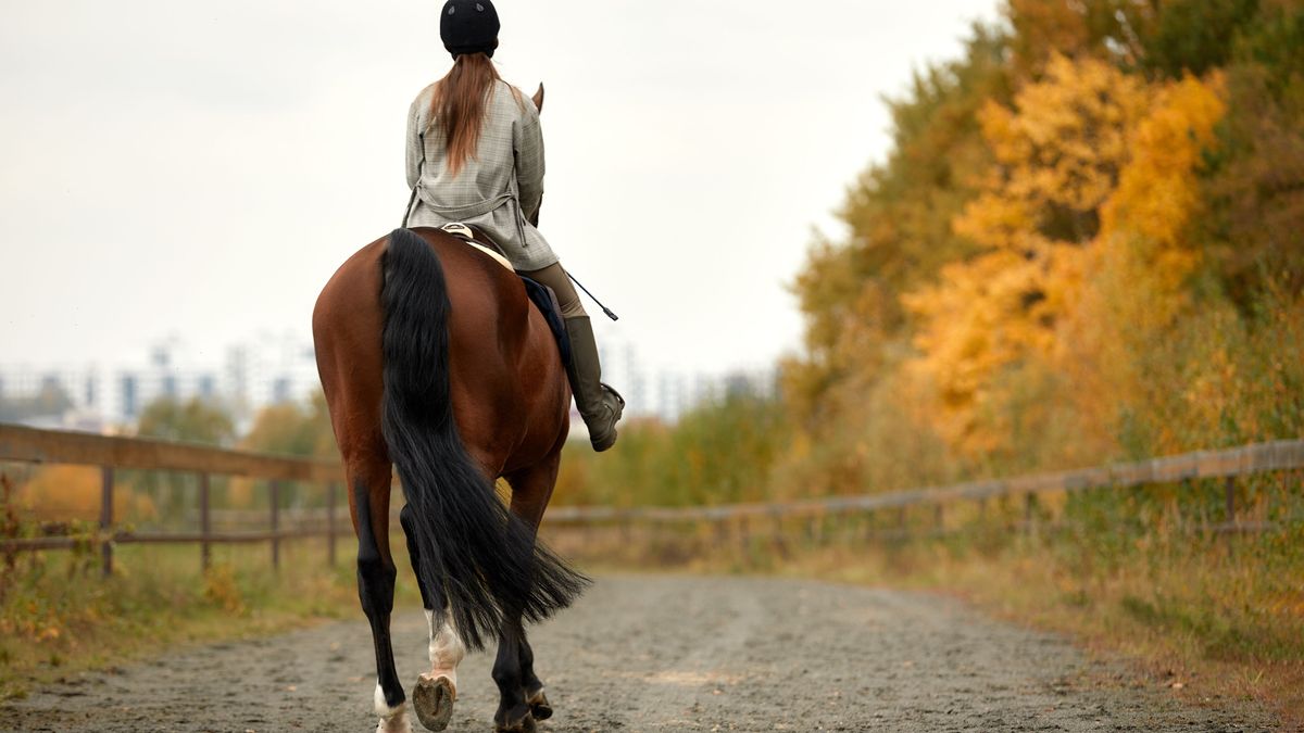 Kind auf Pferd