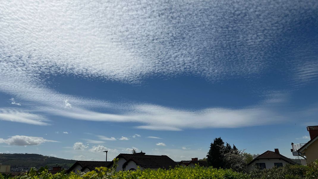 Cirrocumulus-Wolken werden umgangssprachlich auch als "Schäfchen-Wolken" bezeichnet.