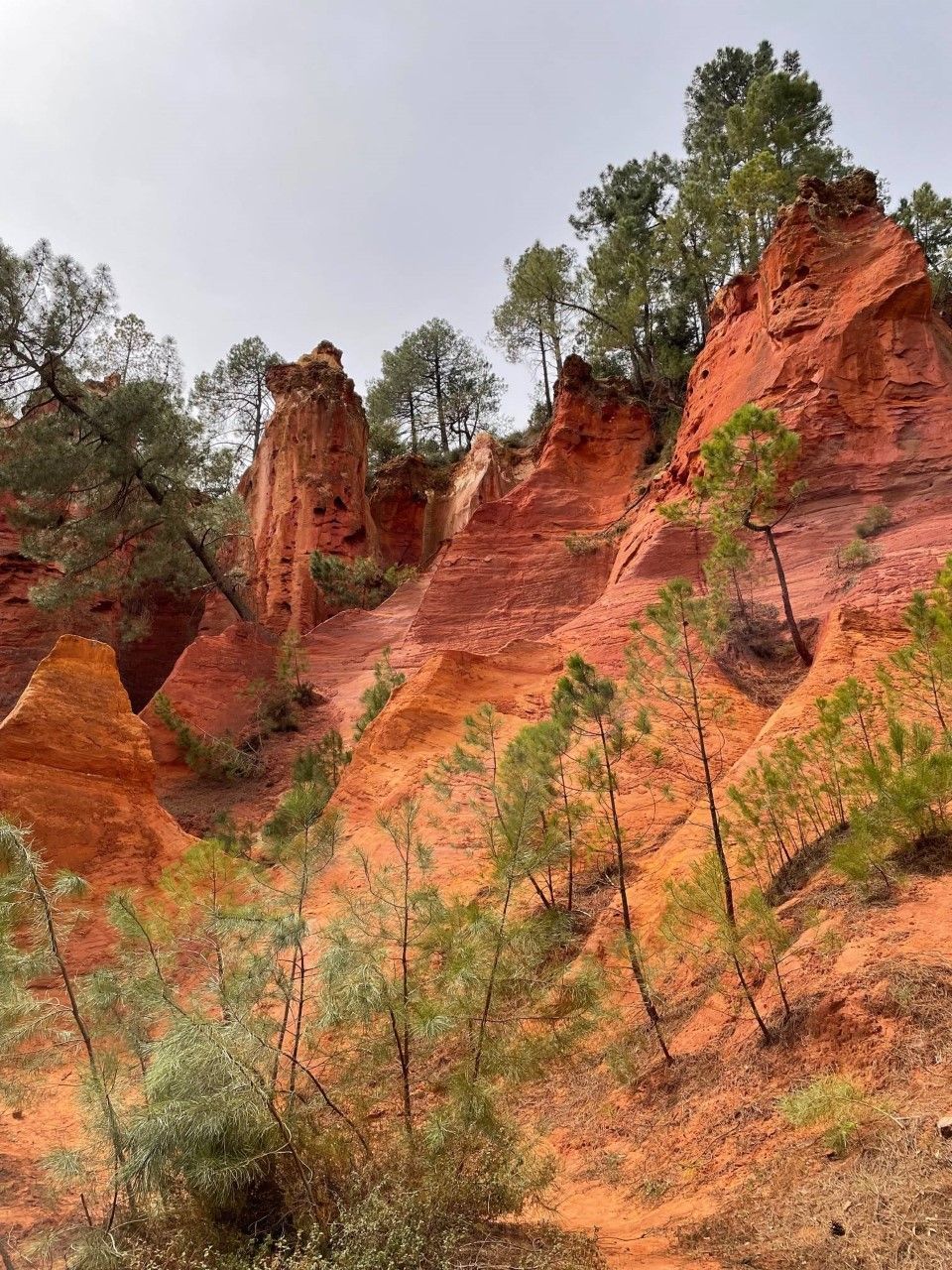 Da siehst du rot - der Ort Roussillon in Frankreich wird auch "Dorf des Ockers" genannt. Ein Blick in die Umgebung erklärt, warum: Die rötliche Erde ist reich an eisenhaltigem Ocker und taucht die Landschaft in warme Rot-Töne. Hier findest du auch einige historische Ocker-Fabriken, denn Roussillon war ein wichtiges Zentrum für die Naturfarbe, mit der von Kosmetik bis Kunstbedarf eine breite Palette abgedeckt wurde.