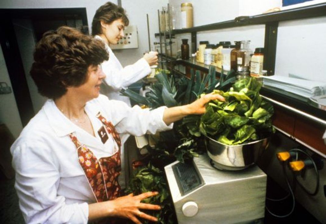 1986: Diese Frauen kontrollieren Gemüse auf Radioaktivität.