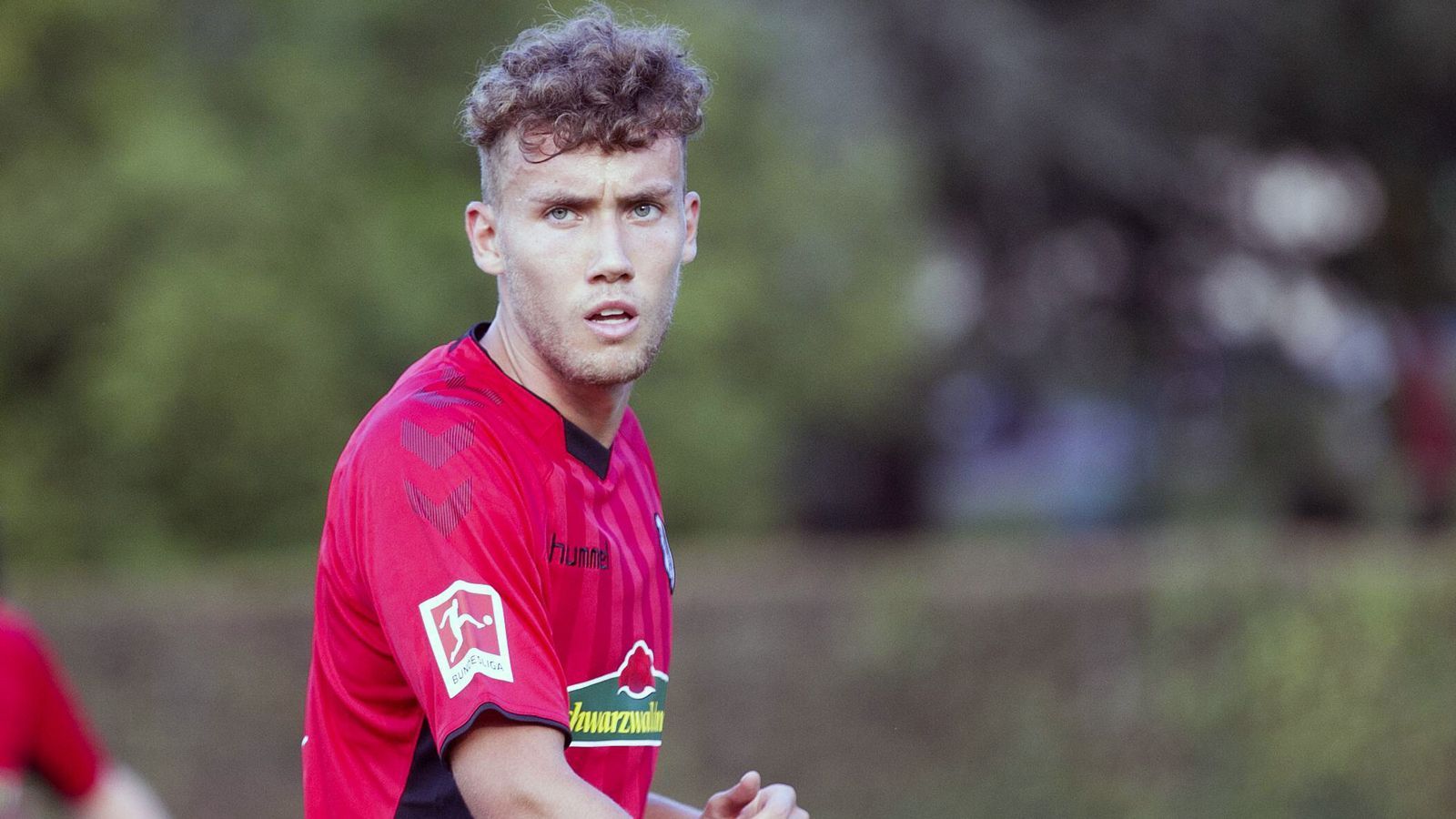 
                <strong>SC Freiburg</strong><br>
                Teuerster Sommer-Neuzugang: Luca Waldschmidt (Hamburger SV/fünf Millionen Euro Ablöse)
              